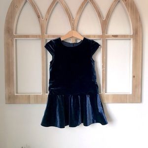 Joe Fresh Blue Velvet Dress